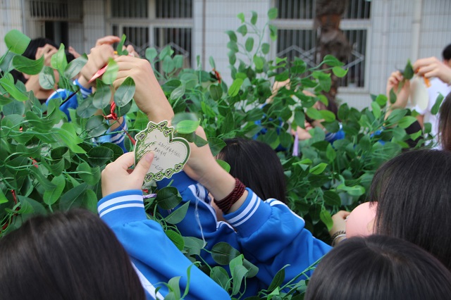女生們將寫滿愿景的心愿卡掛在心愿樹上.jpg